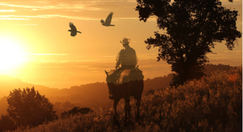 Cowboy chevauchant sous le soleil couchant.