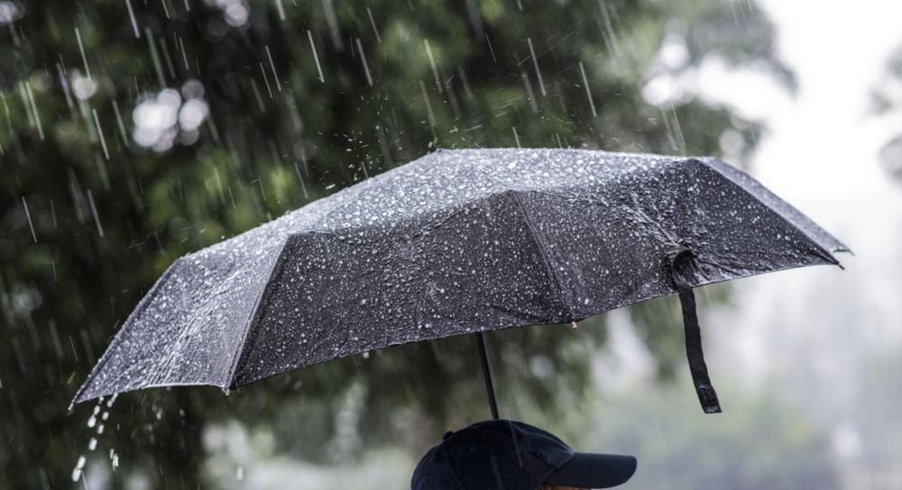 雨の中で傘を差している人